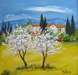 Cerisiers en fleurs - HST - Vendu