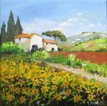 Soleil de Provence - HST - 20x20 - 60� - disponible