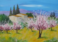 Amandiers en fleurs,  HST 50X40, vendu