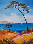 Le pin parasol, HST 30X25, vendu