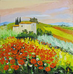 La colline aux coquelicots, HST 30X30, vendu